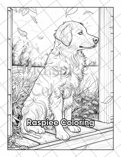 50 Country Farm Scenes Adult Coloring Pages Printable PDF Instant Download