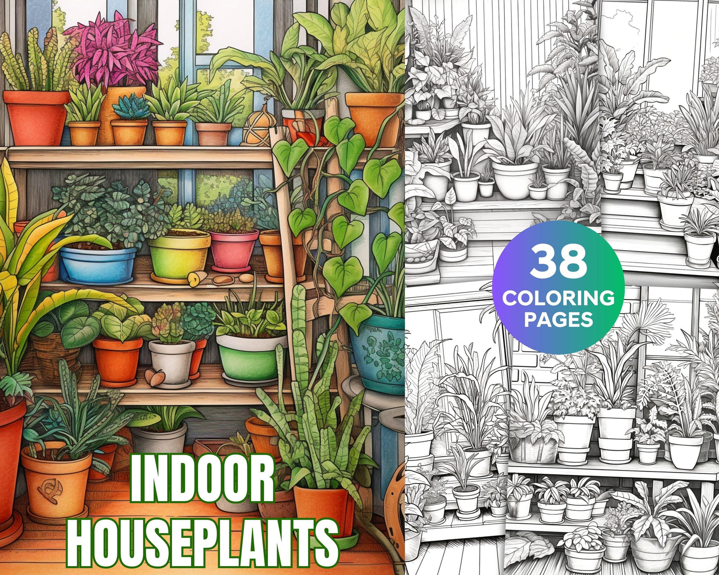 38 Indoor Houseplants Coloring Pages Printable for Adults, Grayscale Coloring Page, PDF File Instant Download