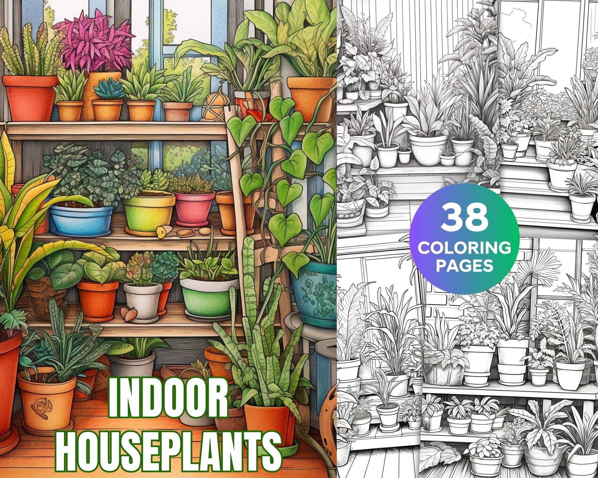 38 Indoor Houseplants Coloring Pages Printable for Adults, Grayscale Coloring Page, PDF File Instant Download