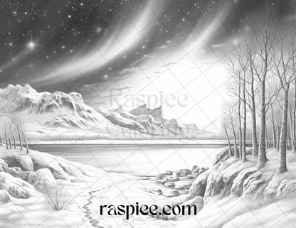 Aurora Borealis Landscape Grayscale Coloring Pages for Adults, Printable PDF File Instant Download