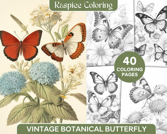 Vintage Botanical Butterfly Grayscale Coloring Pages Printable for Adults, PDF File Instant Download