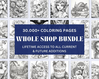 Adult Coloring Pages Entire Whole Shop Bundle Over 30,000+ Designs Lifetime Access