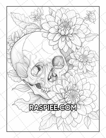 50 Botanical Anatomy Adult Coloring Pages Printable PDF Instant Download