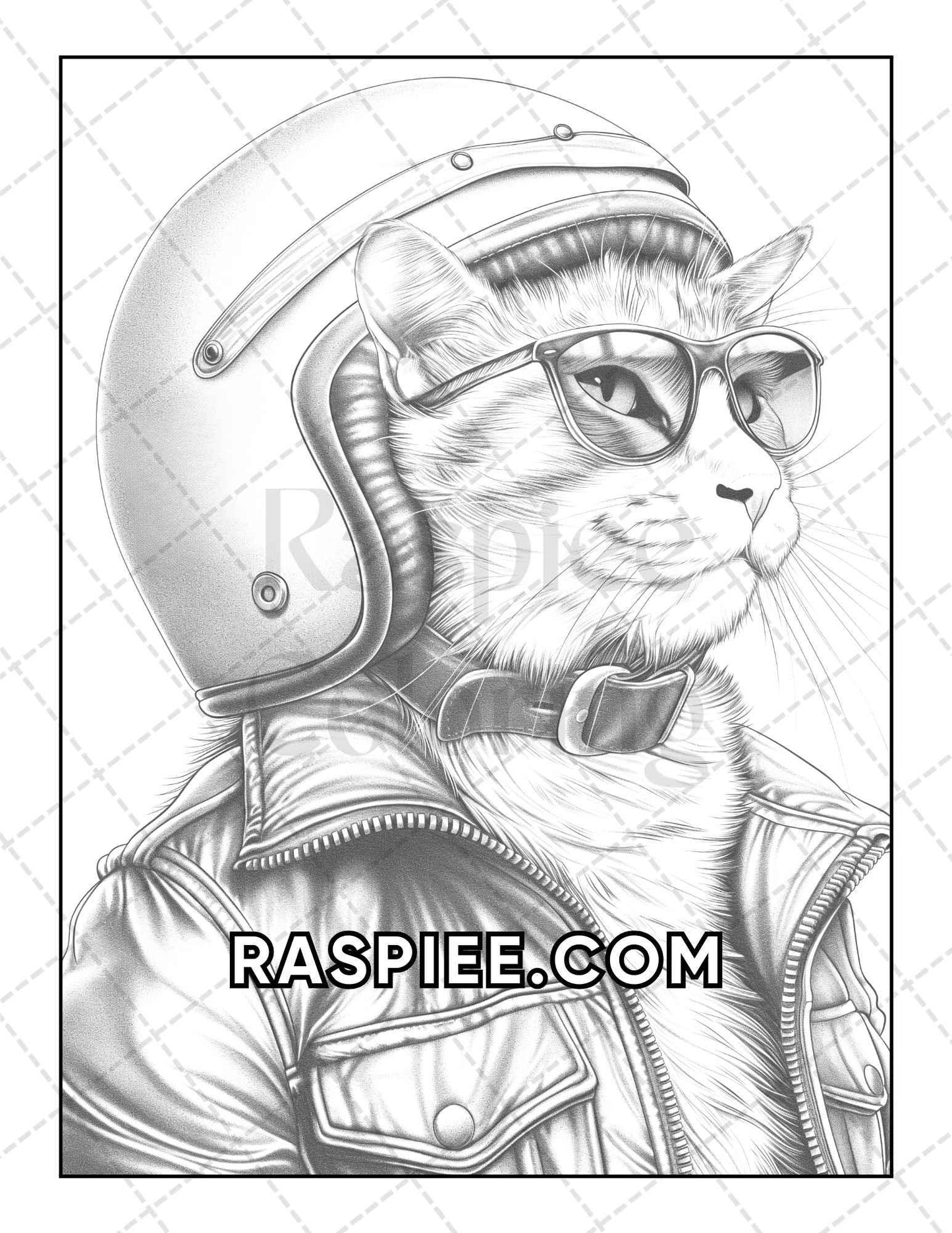 60 Cats Dressed Up Adult Coloring Pages Printable PDF Instant Download