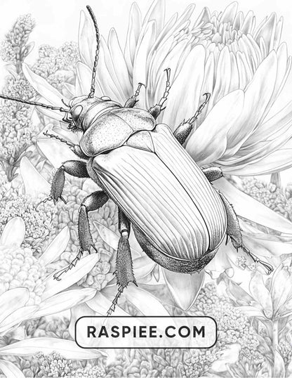 Insects and Flowers Adult Coloring Pages