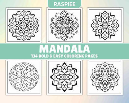 134 Bold and Easy Mandala Coloring Pages