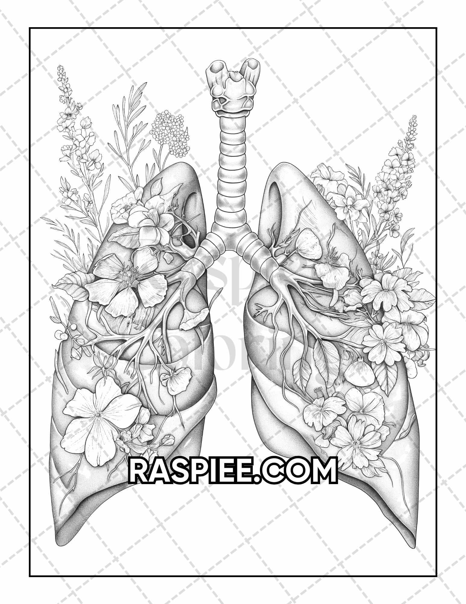 50 Botanical Anatomy Adult Coloring Pages Printable PDF Instant Download