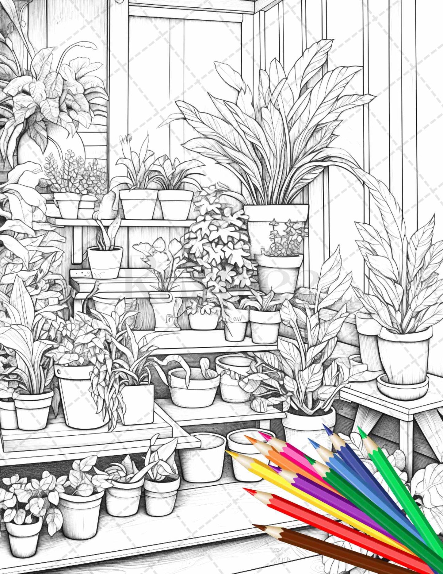 38 Indoor Houseplants Coloring Pages Printable for Adults, Grayscale Coloring Page, PDF File Instant Download