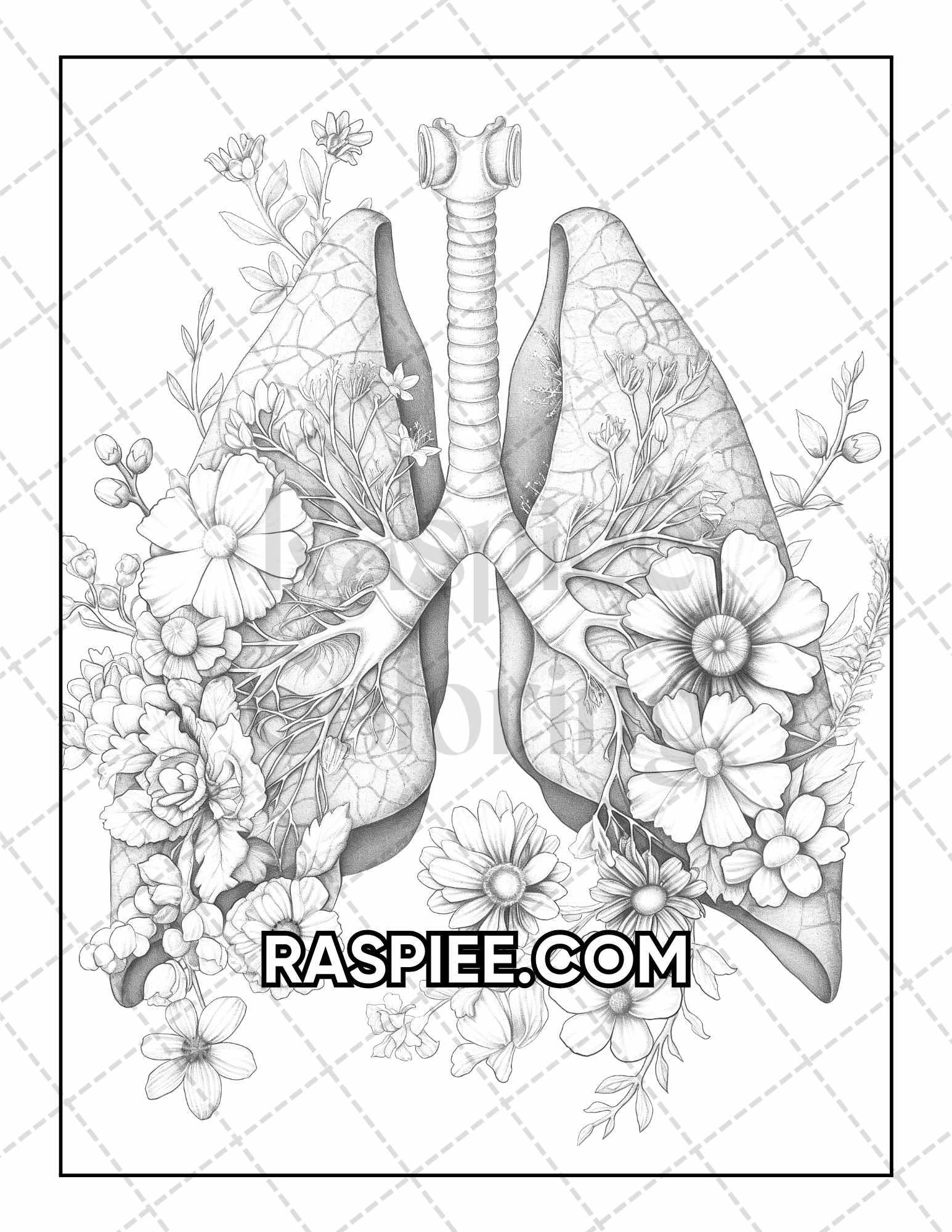 50 Botanical Anatomy Adult Coloring Pages Printable PDF Instant Download