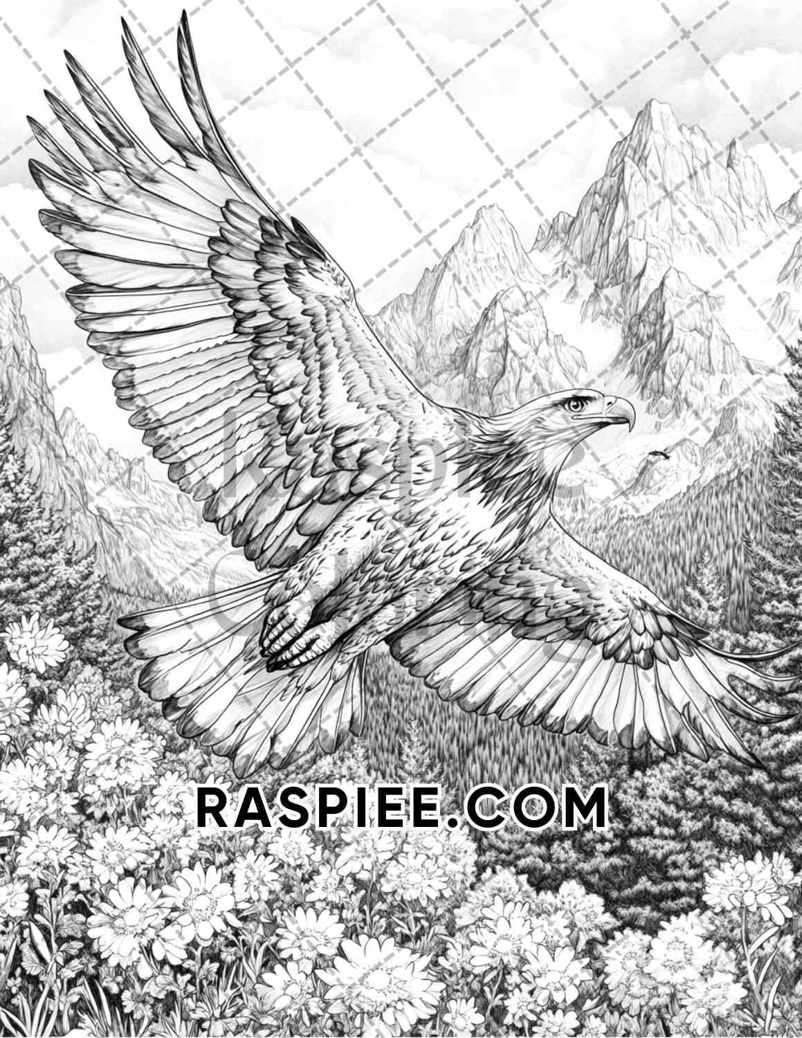 Flowers and Birds Adult Coloring Pages Printable PDF Instant Download