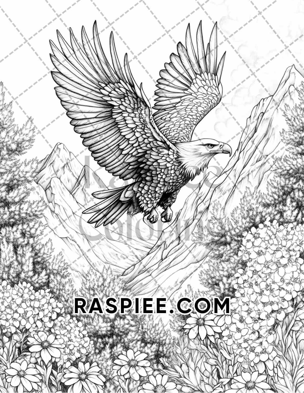 Flowers and Birds Adult Coloring Pages Printable PDF Instant Download
