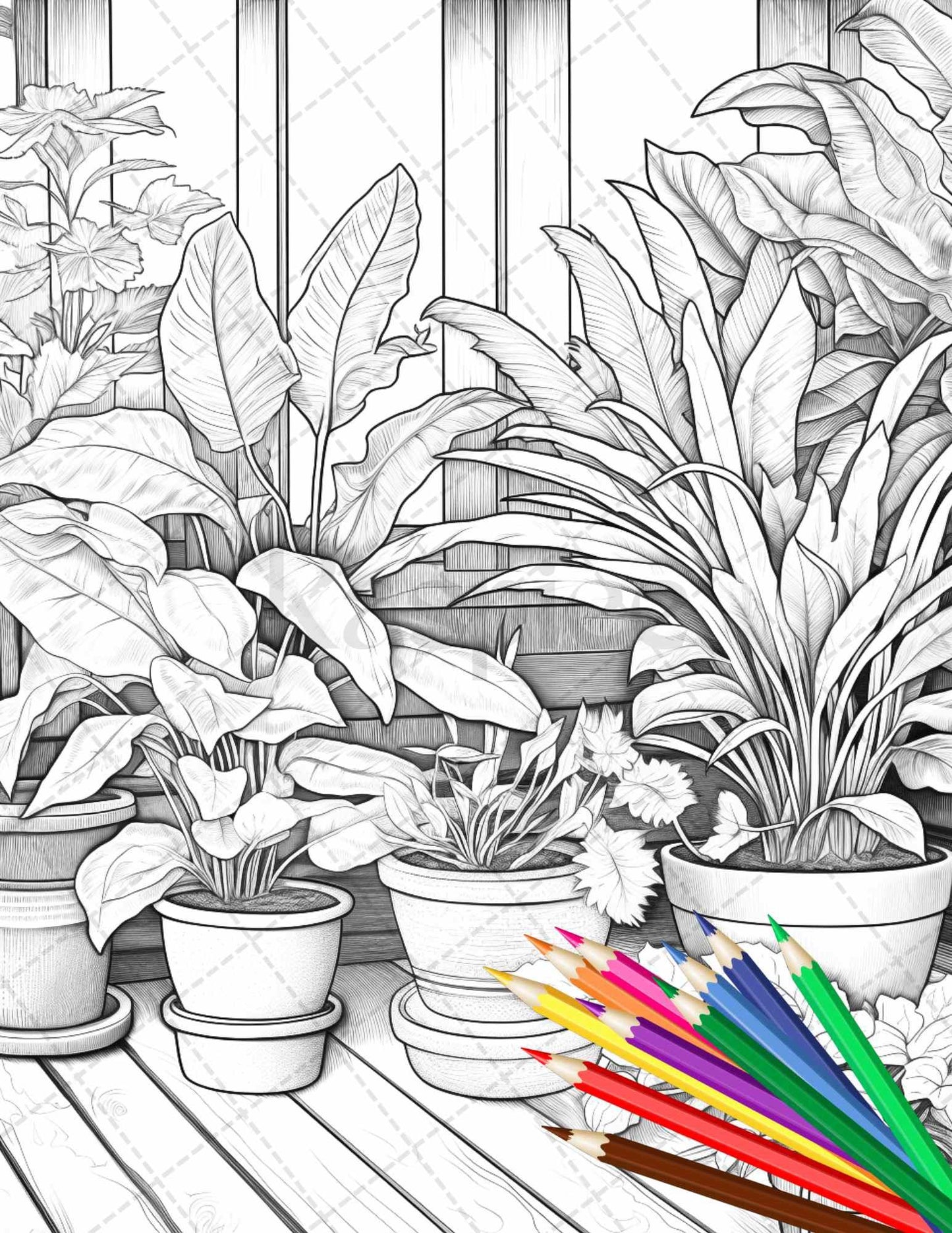 38 Indoor Houseplants Coloring Pages Printable for Adults, Grayscale Coloring Page, PDF File Instant Download
