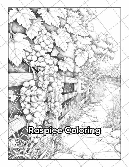 50 Country Farm Scenes Adult Coloring Pages Printable PDF Instant Download
