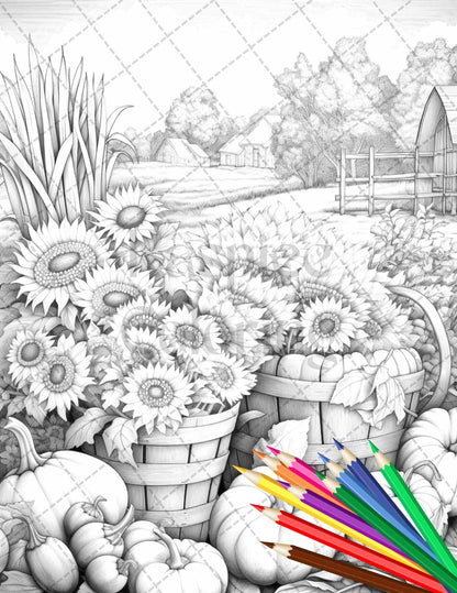 Autumn Harvest Grayscale Coloring Pages Printable for Adults, Relaxing Fall Themed Art, PDF File Instant Download