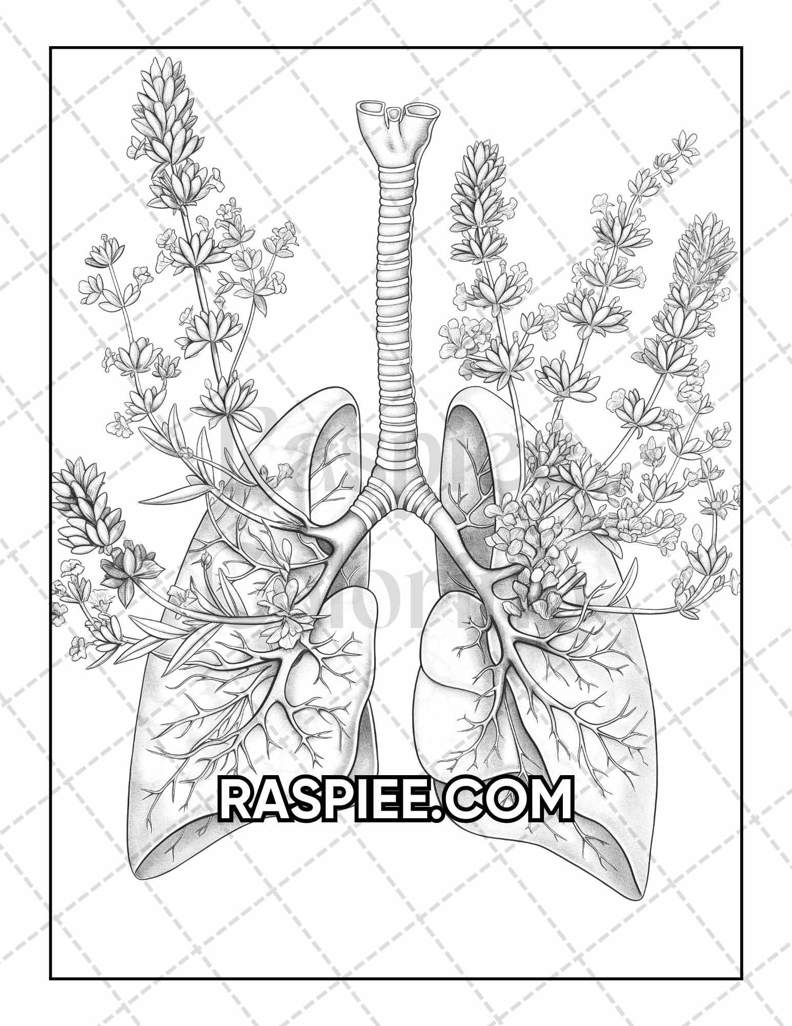 50 Botanical Anatomy Adult Coloring Pages Printable PDF Instant Download