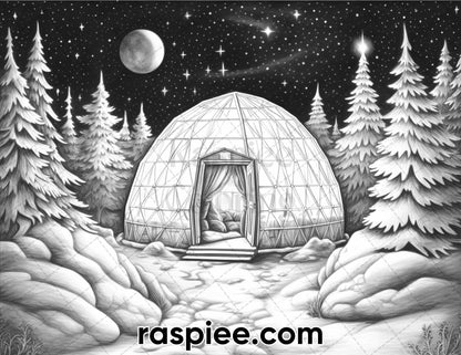 60 Enchanting Winter Landscapes Grayscale Coloring Pages for Adults, Instant PDF Download