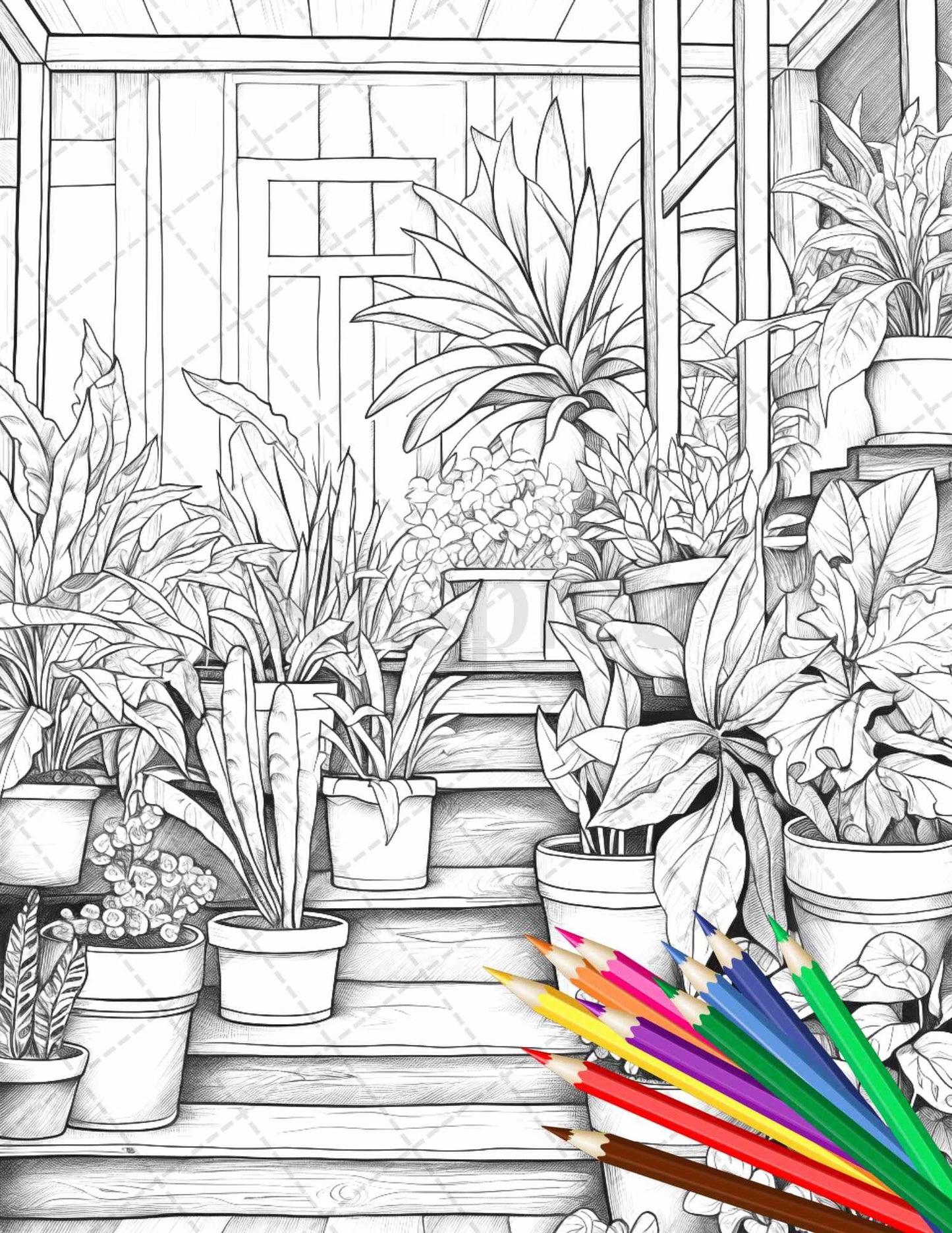 38 Indoor Houseplants Coloring Pages Printable for Adults, Grayscale Coloring Page, PDF File Instant Download