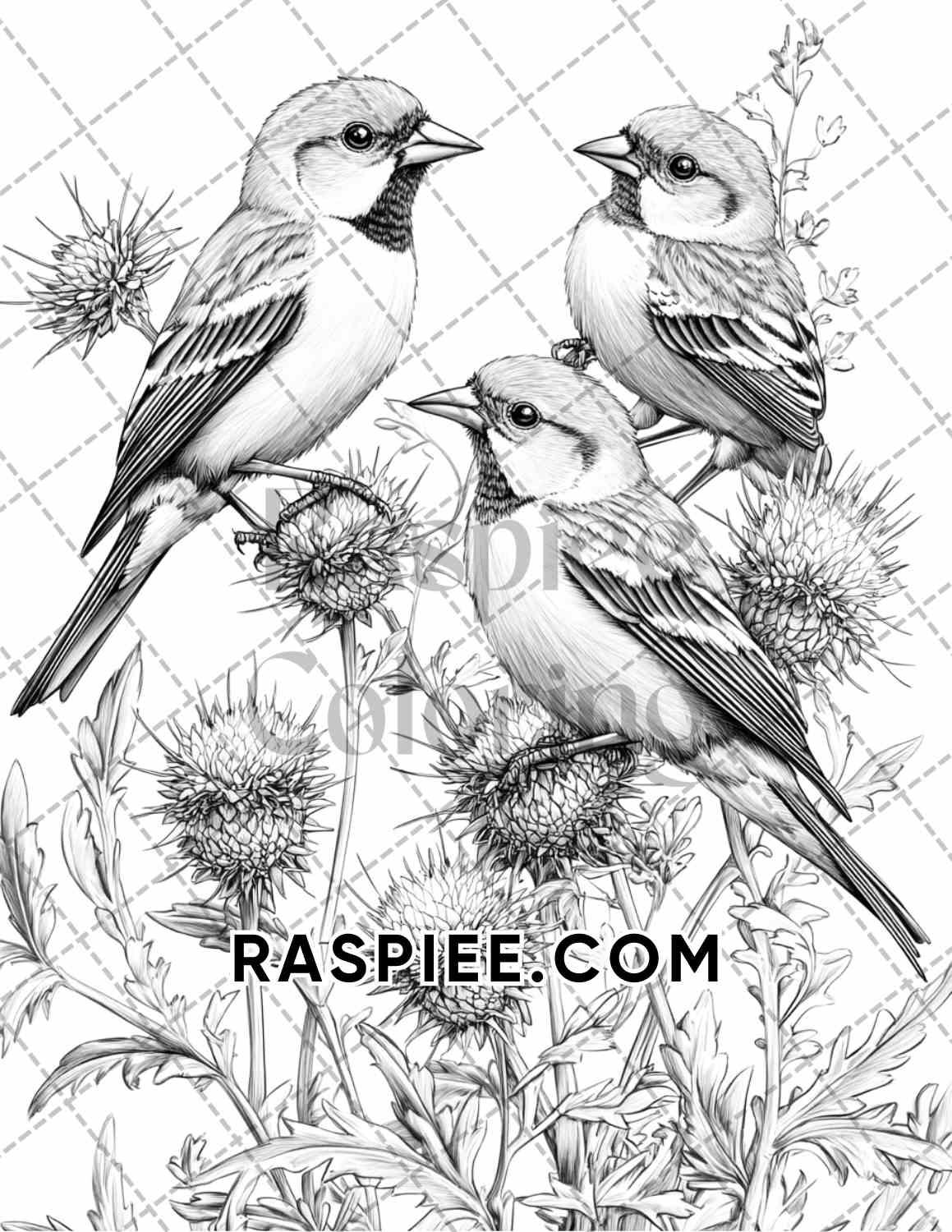 Flowers and Birds Adult Coloring Pages Printable PDF Instant Download