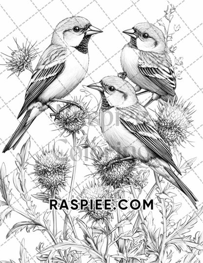 Flowers and Birds Adult Coloring Pages Printable PDF Instant Download