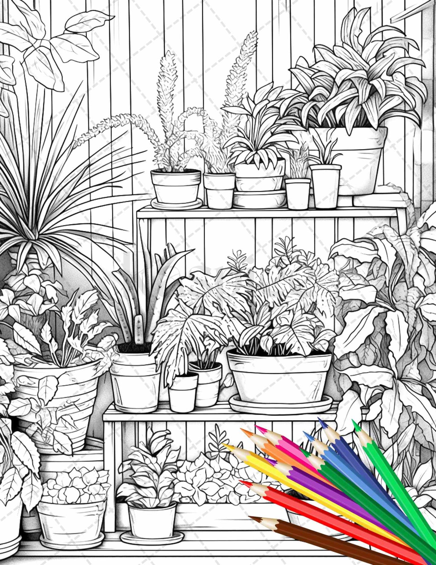 38 Indoor Houseplants Coloring Pages Printable for Adults, Grayscale Coloring Page, PDF File Instant Download
