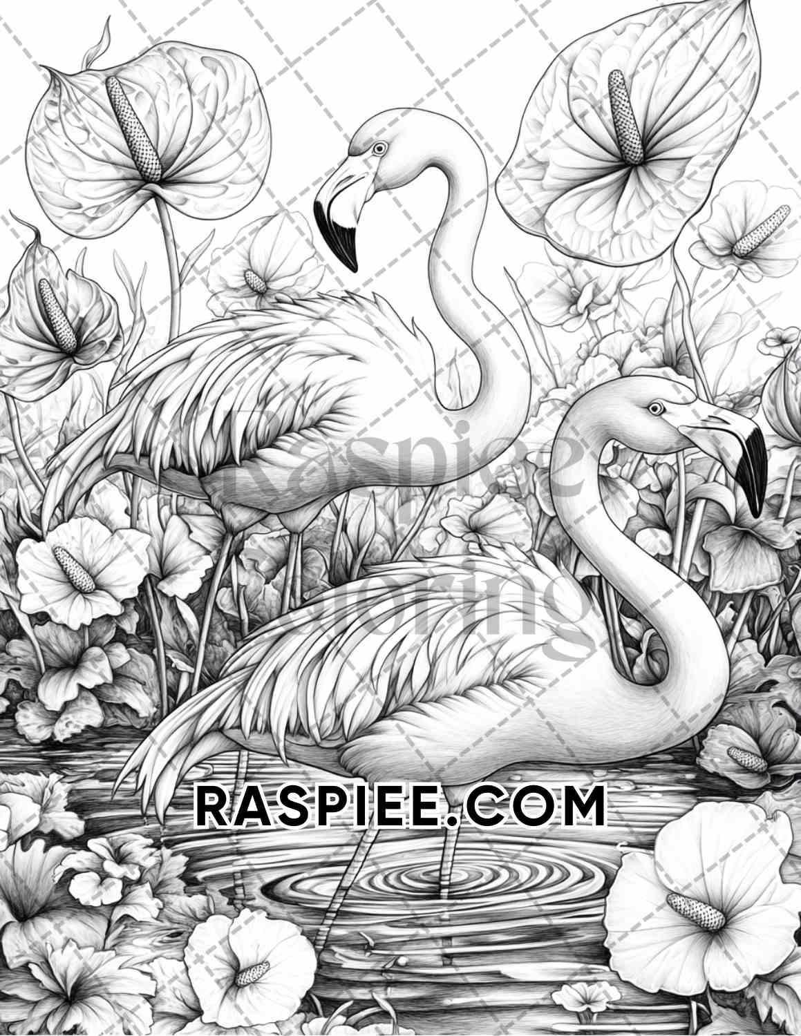 Flowers and Birds Adult Coloring Pages Printable PDF Instant Download