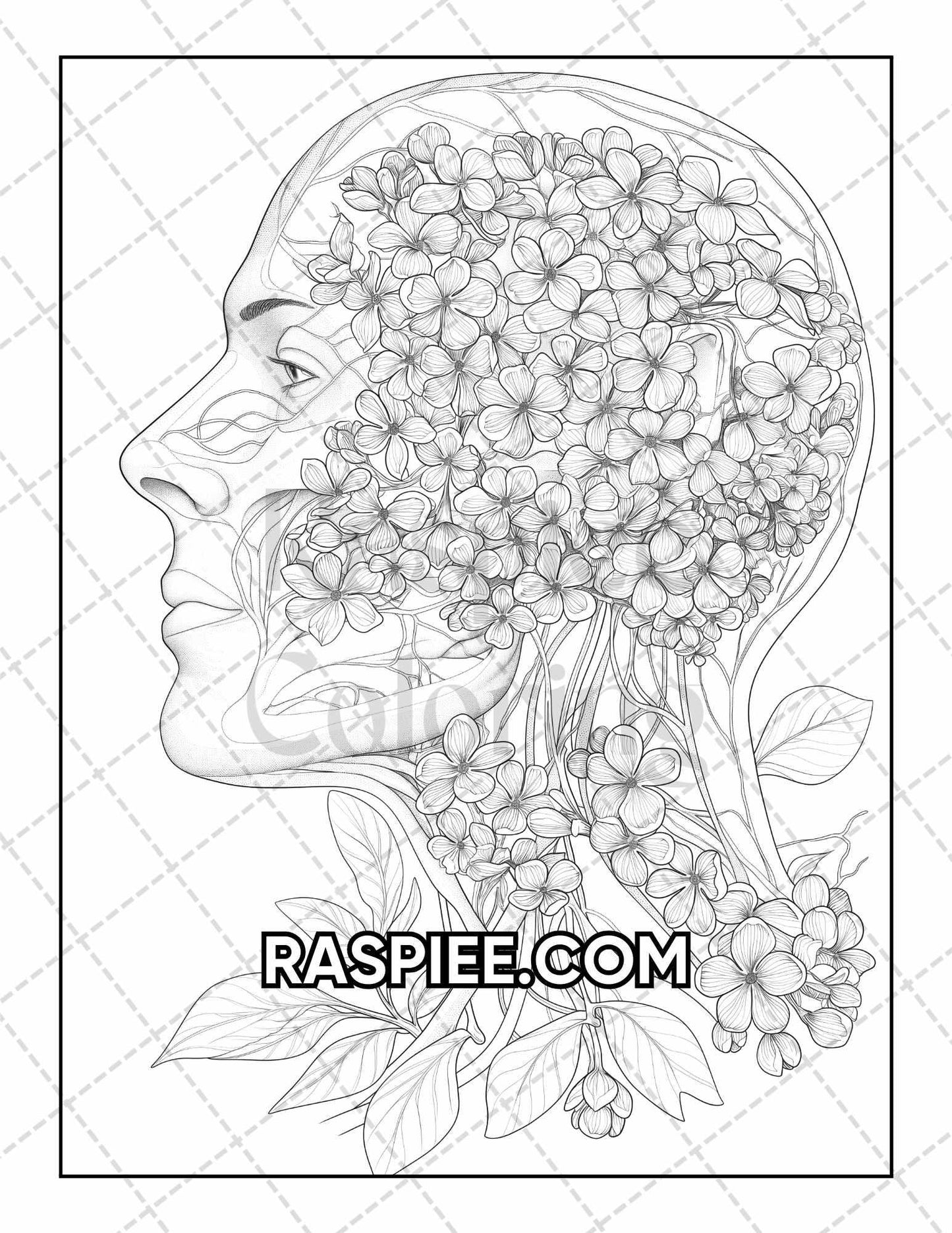 50 Botanical Anatomy Adult Coloring Pages Printable PDF Instant Download