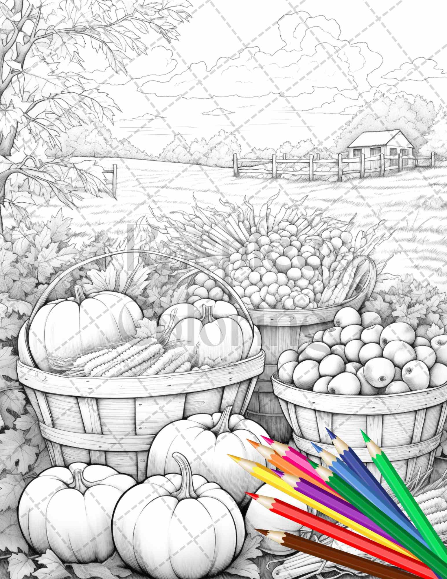 Autumn Harvest Grayscale Coloring Pages Printable for Adults, Relaxing Fall Themed Art, PDF File Instant Download