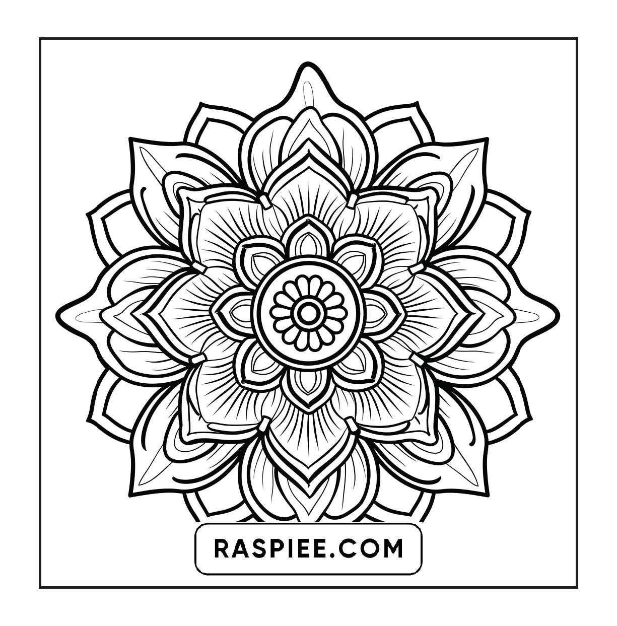 250 Mandala Adult Coloring Pages Vol.4