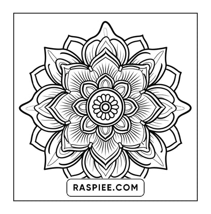 250 Mandala Adult Coloring Pages Vol.4