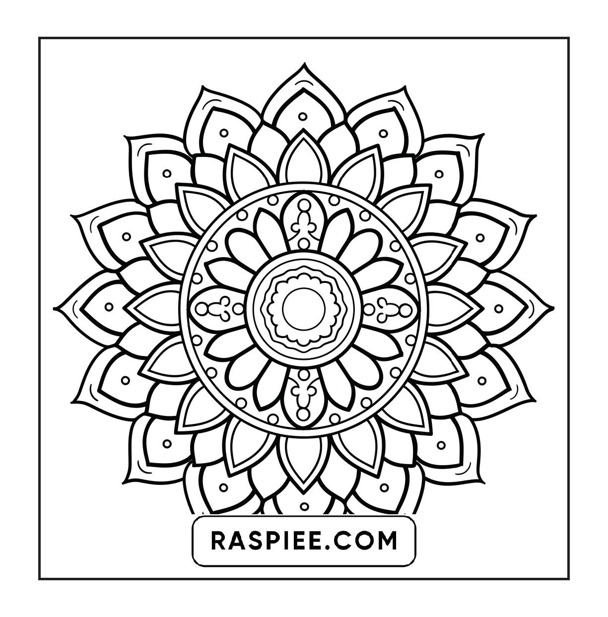 250 Mandala Adult Coloring Pages Vol.4