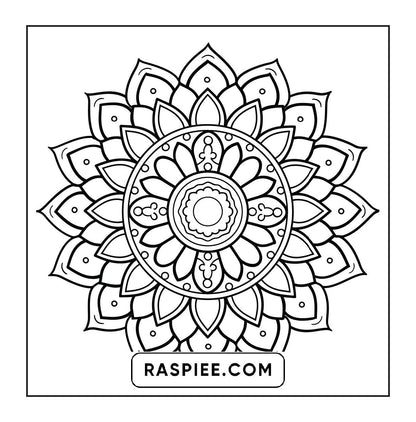250 Mandala Adult Coloring Pages Vol.4