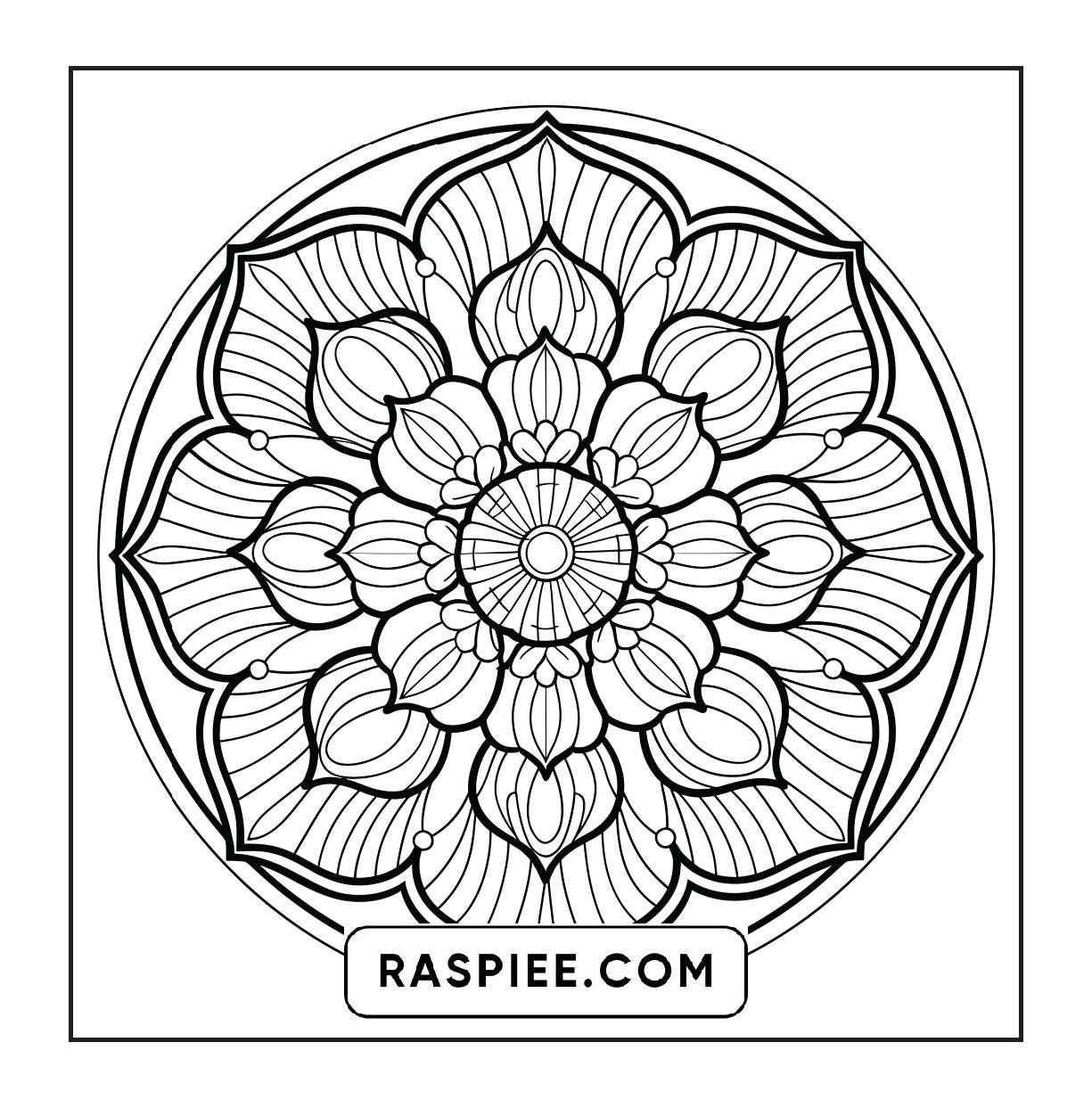 250 Mandala Adult Coloring Pages Vol.4