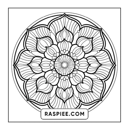 250 Mandala Adult Coloring Pages Vol.4