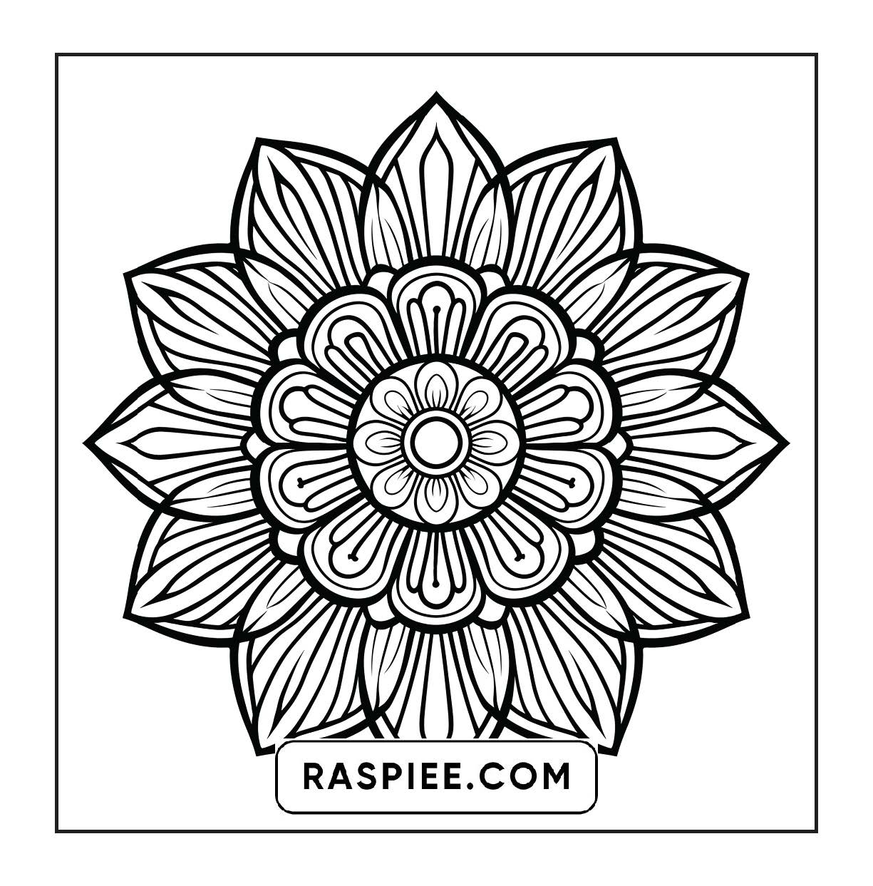 250 Mandala Adult Coloring Pages Vol.4