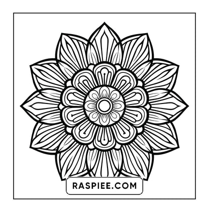 250 Mandala Adult Coloring Pages Vol.4