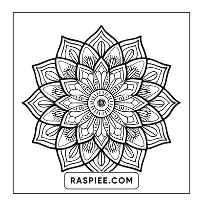 250 Mandala Adult Coloring Pages Vol.4