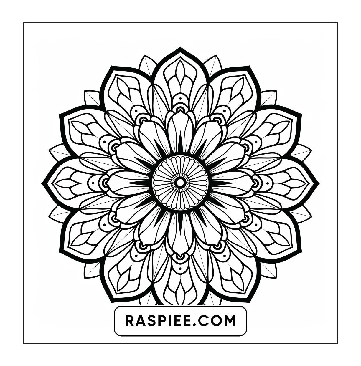 250 Mandala Adult Coloring Pages Vol.4
