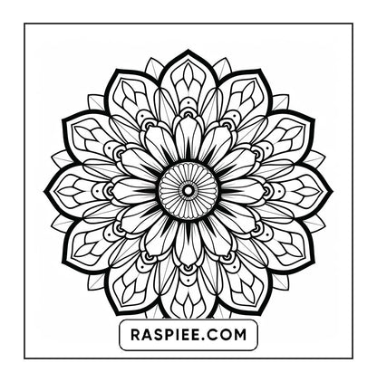 250 Mandala Adult Coloring Pages Vol.4
