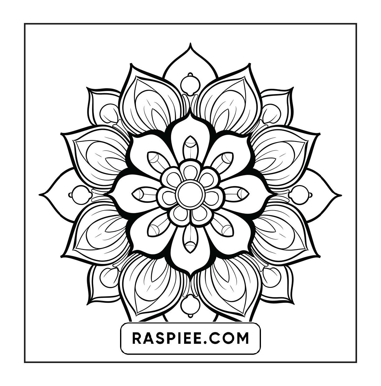 250 Mandala Adult Coloring Pages Vol.4