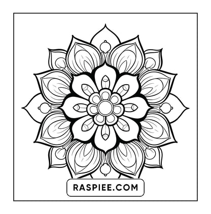 250 Mandala Adult Coloring Pages Vol.4