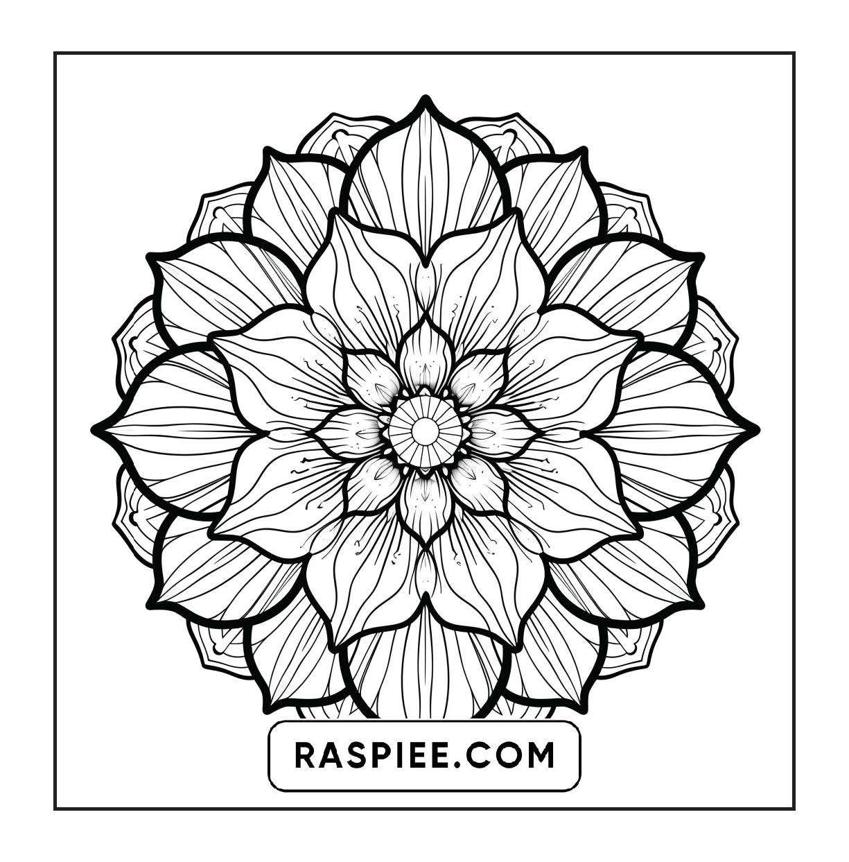 250 Mandala Adult Coloring Pages Vol.4