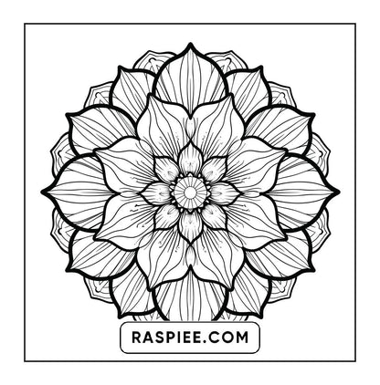 250 Mandala Adult Coloring Pages Vol.4
