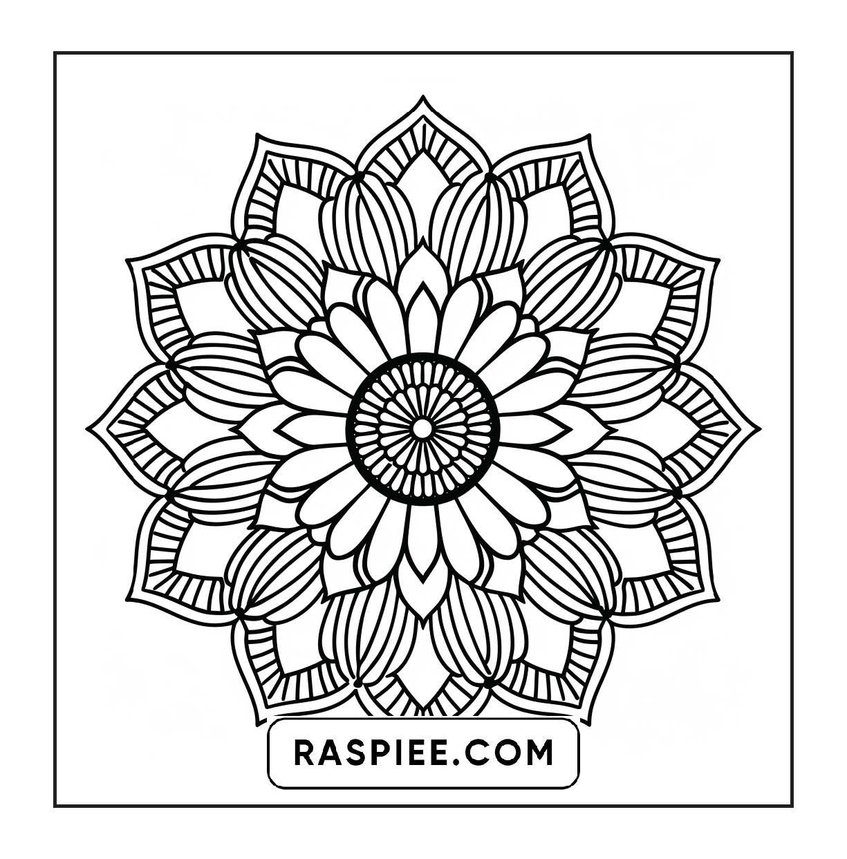 250 Mandala Adult Coloring Pages Vol.4