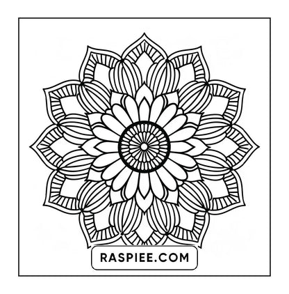 250 Mandala Adult Coloring Pages Vol.4