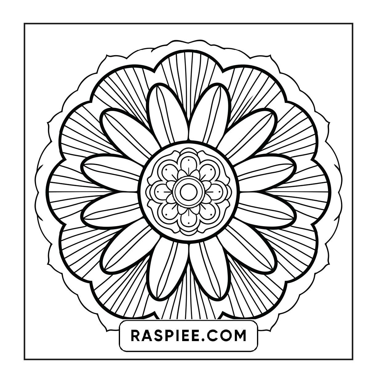 250 Mandala Adult Coloring Pages Vol.4