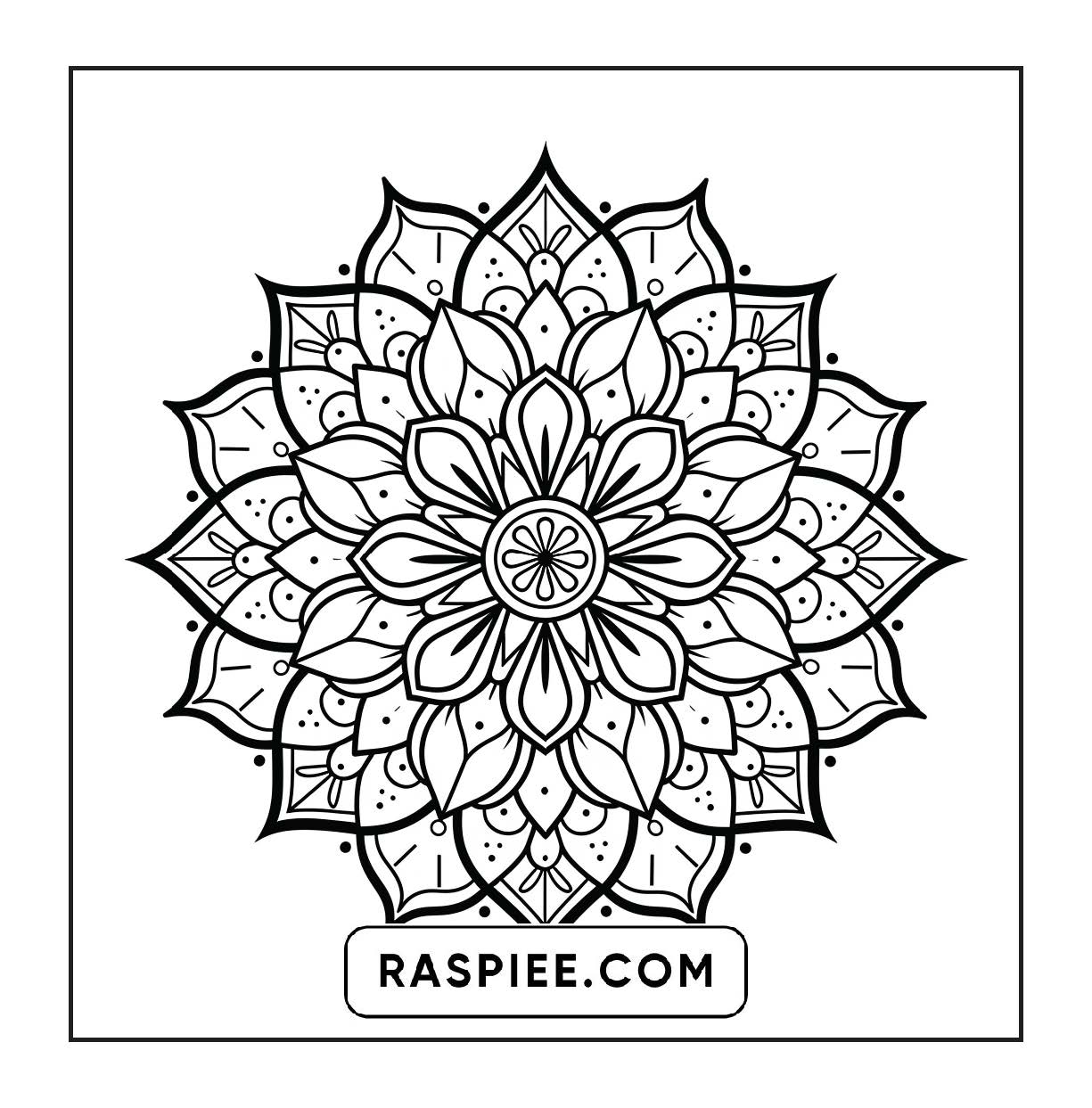 250 Mandala Adult Coloring Pages Vol.4
