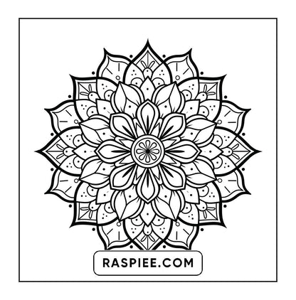 250 Mandala Adult Coloring Pages Vol.4