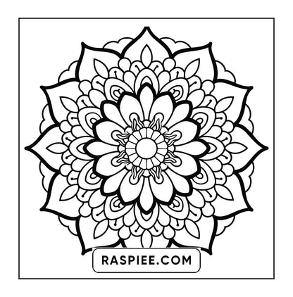 250 Mandala Adult Coloring Pages Vol.4