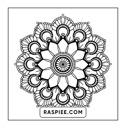 250 Mandala Adult Coloring Pages Vol.4