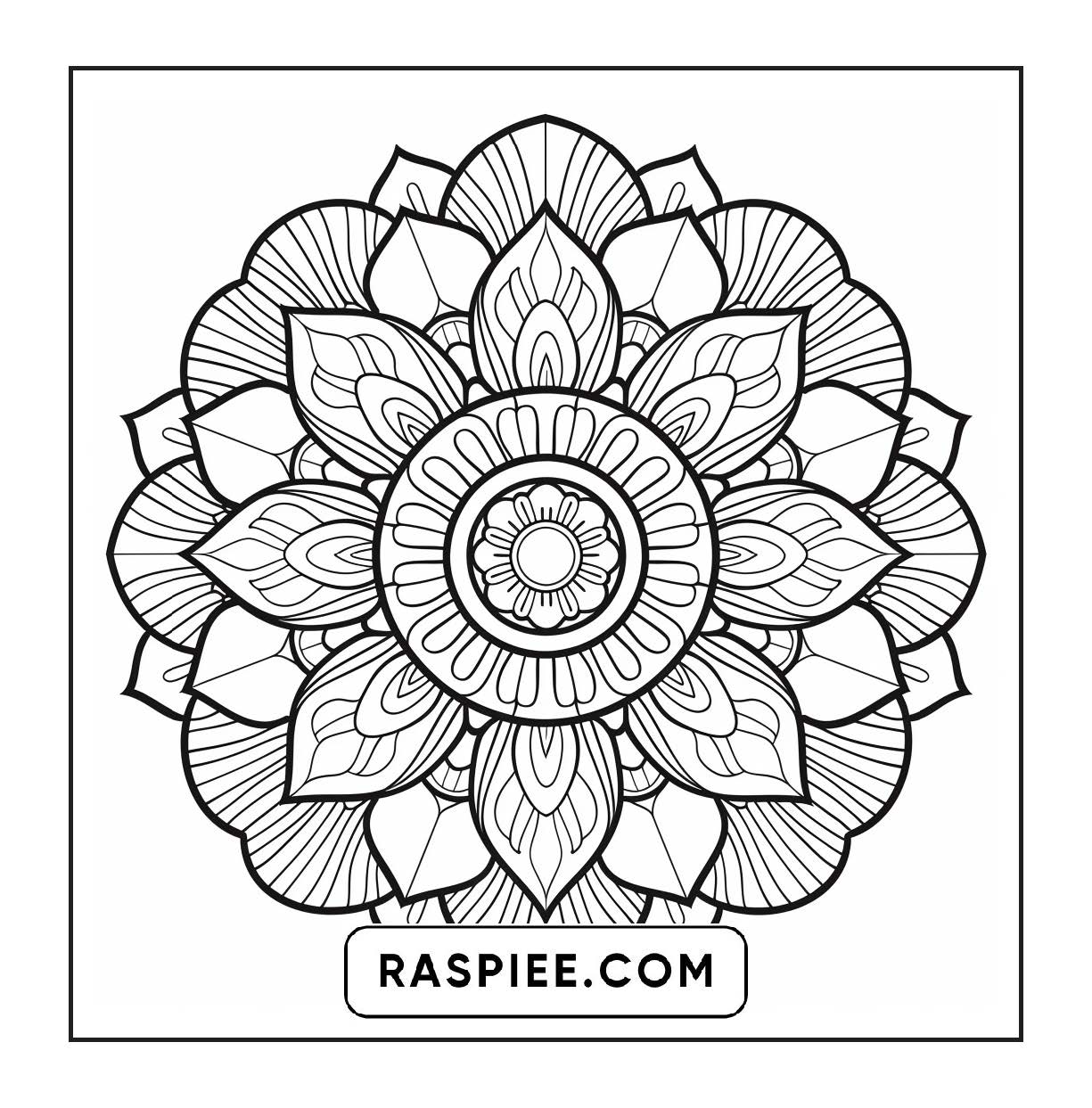 250 Mandala Adult Coloring Pages Vol.4